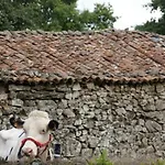 Stone O Cebreiro * Curtis