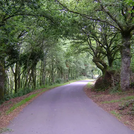 Stone O Cebreiro * Curtis