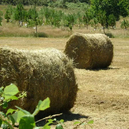 منزل ريفي Stone O Cebreiro Curtis