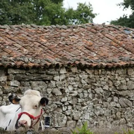 Stone O Cebreiro * Curtis