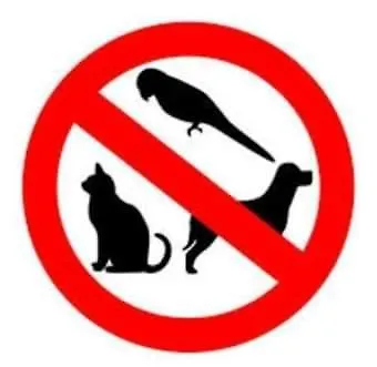 Kır Evi Stone O Cebreiro *