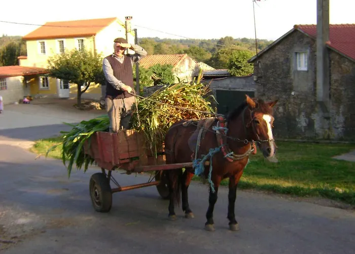 Kır Evi Stone O Cebreiro Curtis