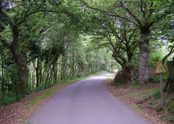 Stone O Cebreiro * Curtis