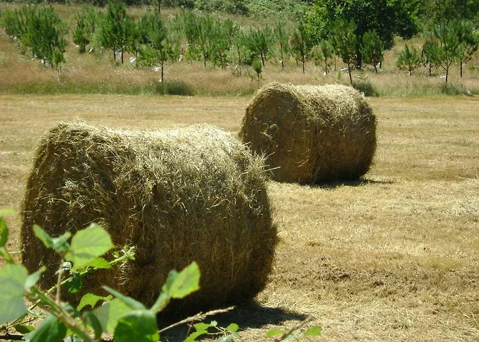 Kır Evi Stone O Cebreiro Curtis