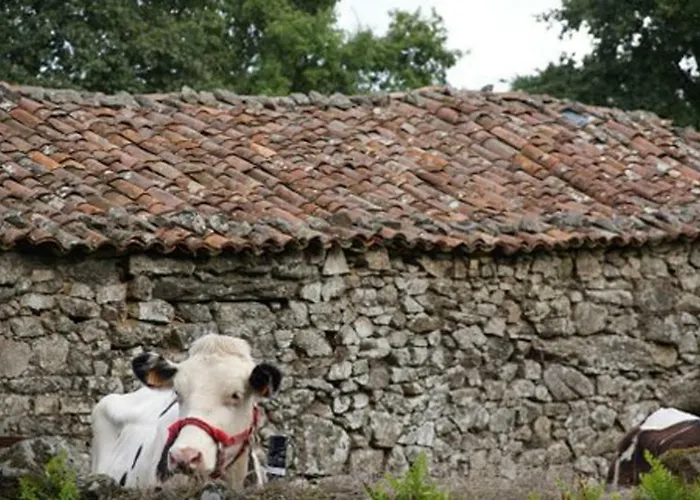 Stone O Cebreiro * Curtis
