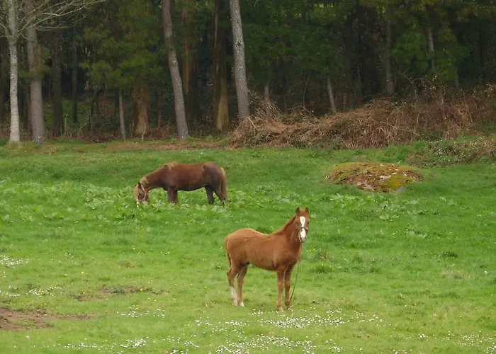 Stone O Cebreiro * Curtis